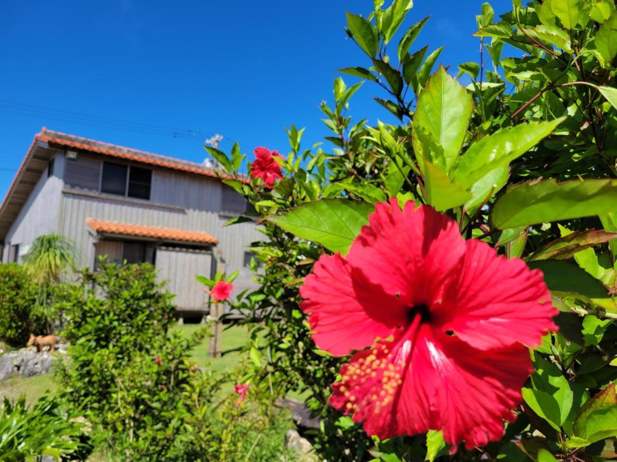 Pension Snadun Ginoza Exterior foto